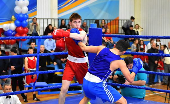 бокс, спорт