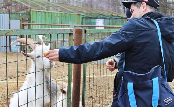 зоопарк, животные