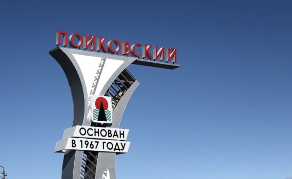 пойковский, стелла