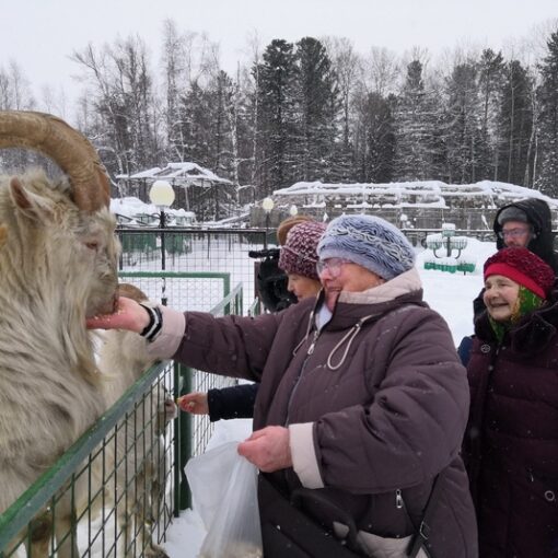 зоопарк, туризм, парус