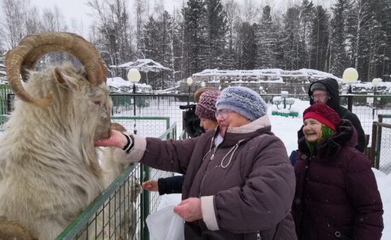 зоопарк, туризм, парус