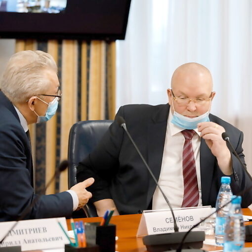 дума, Владимир Семенов, Владимир Елецкий
