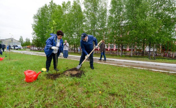 Владимир Семенов принял участие в международной акции «Сад памяти», Владимир Семенов