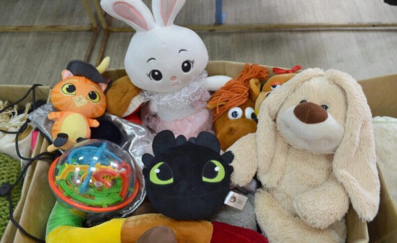 Спешите делать добро, акция, благодарность, игрушки