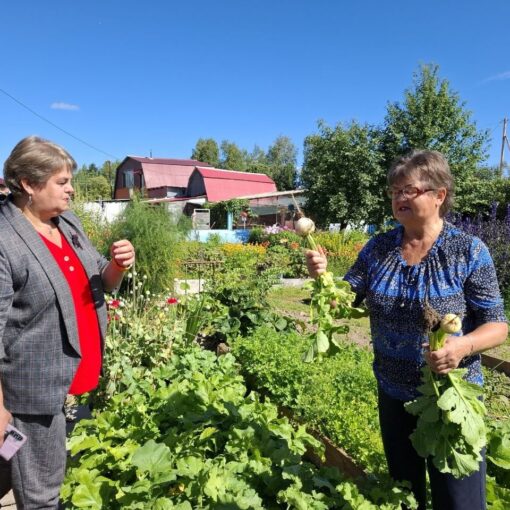 Акция Дачница, Каркатеевы семья Московкиных