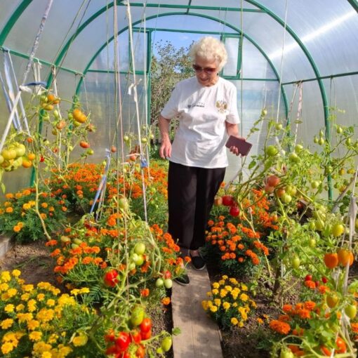 Салым, Акция Дачница, Тимоничева Валентина Ивановна