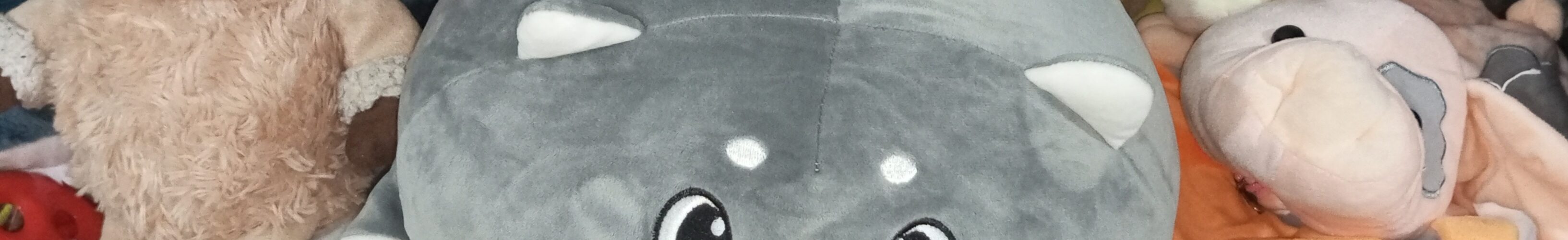 Пойковский, акция по раздаче вещей Спешите делать добро