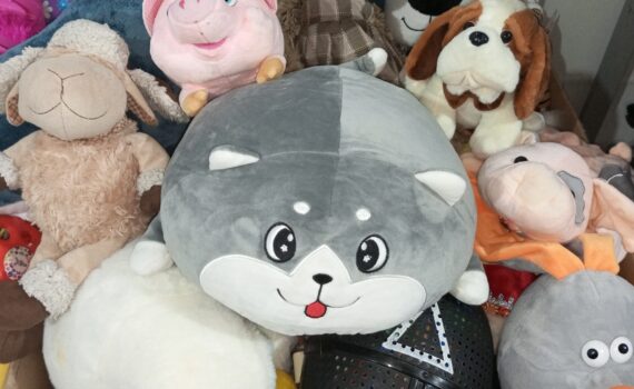 Пойковский, акция по раздаче вещей Спешите делать добро