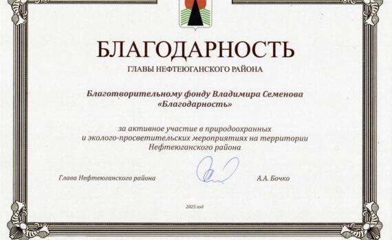 Благодарность