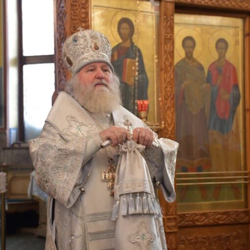 Божественная Литургия, владыка Павел