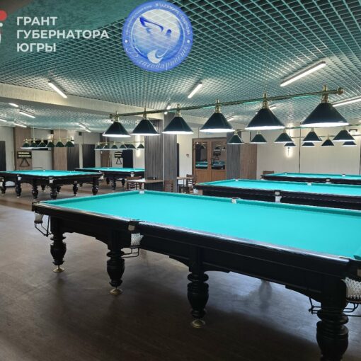 Грант губернатора Серебряный бильярд-путь к успеху