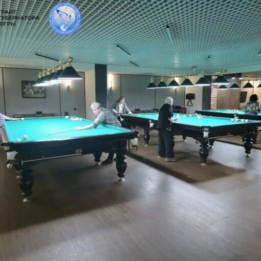 грант губернатора Серебряный бильярд-путь к успеху